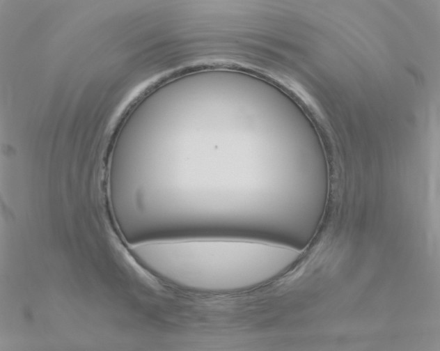 X0000090960799200708021120
