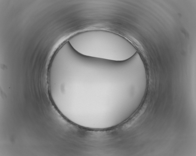 X0000090960800200708021120