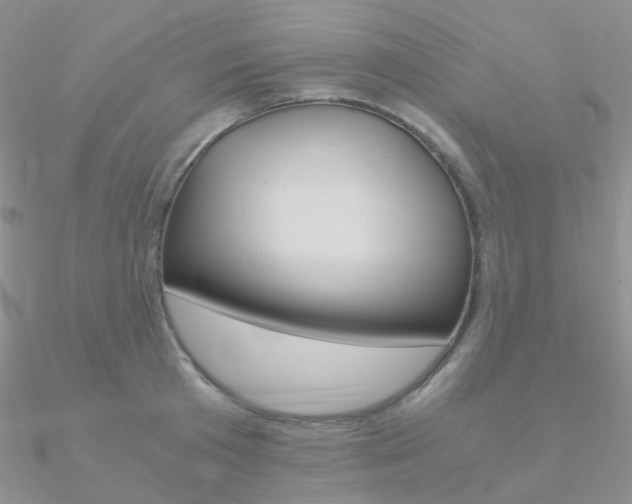 X0000090960801200708021120