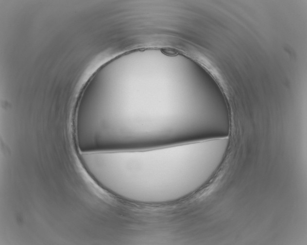 X0000090960803200708021120
