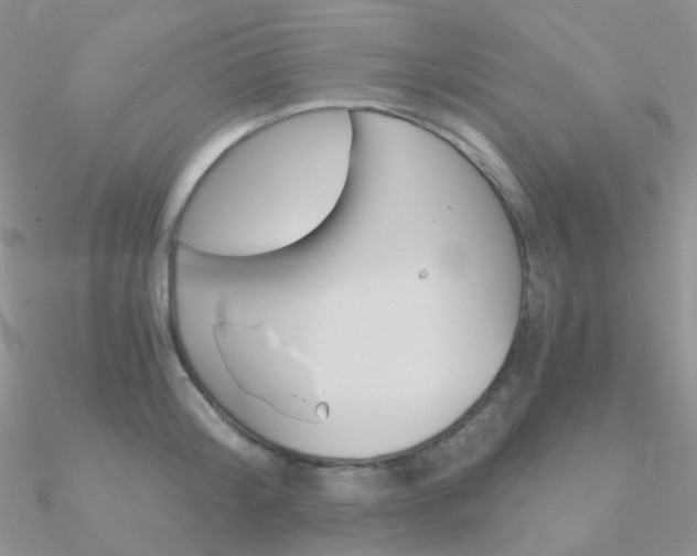 X0000090960804200708021120