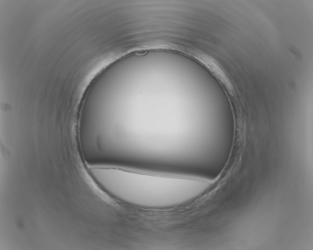 X0000090960805200708021120