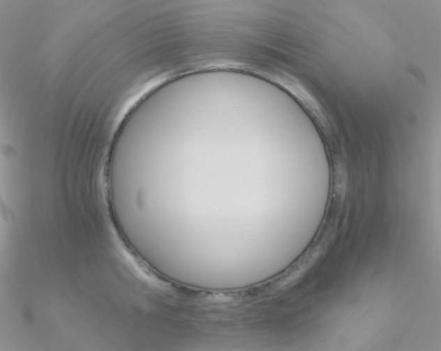 X0000090960806200708021120