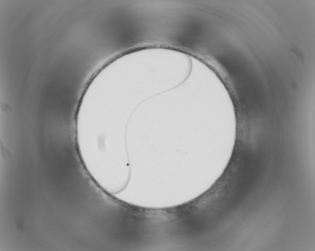 X0000090960807200708021120