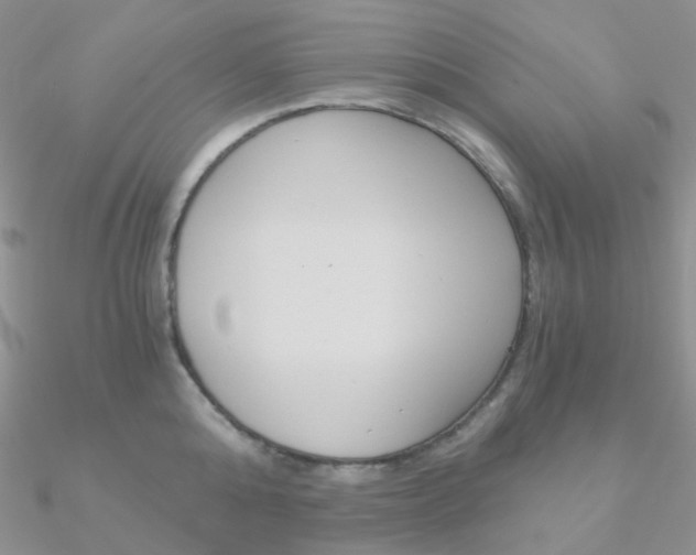 X0000090960808200708021120
