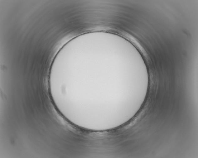 X0000090960810200708021120