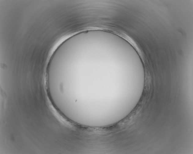 X0000090960811200708021120