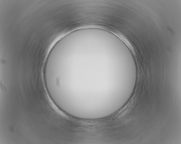 X0000090960813200708021120