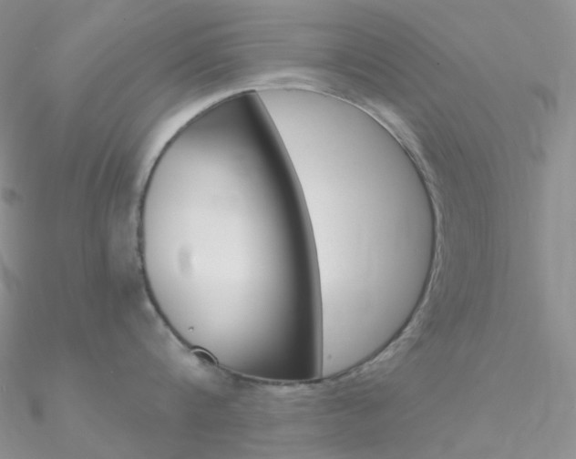 X0000090960816200708021120