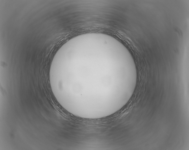 X0000090960820200708021120