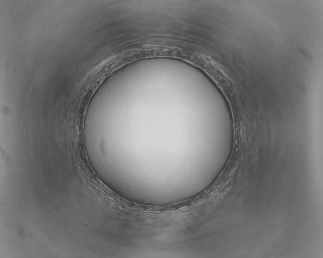 X0000090960821200708021120