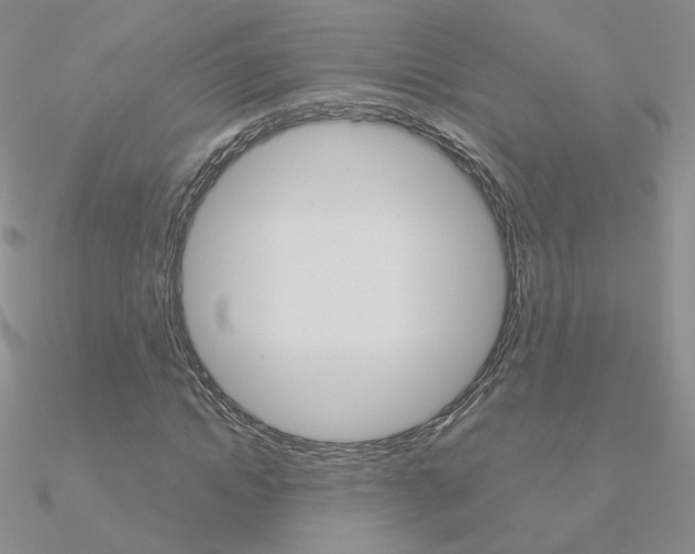 X0000090960822200708021120