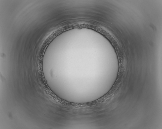 X0000090960823200708021120
