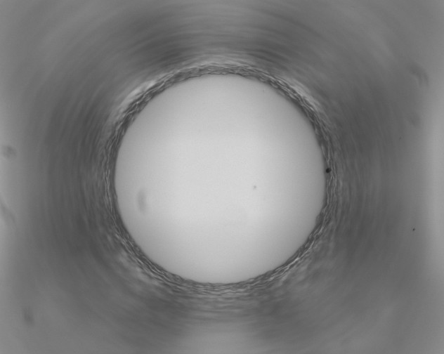 X0000090960824200708021120