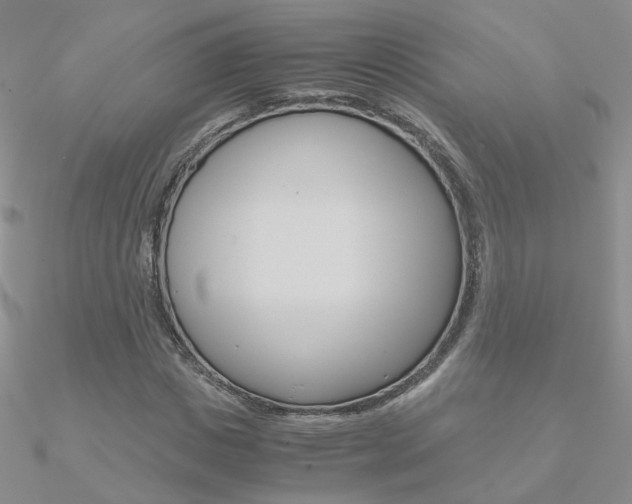 X0000090960825200708021120