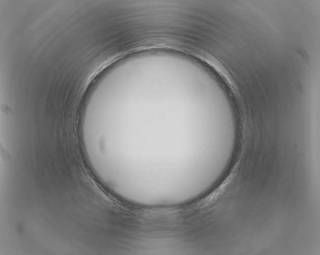 X0000090960826200708021120