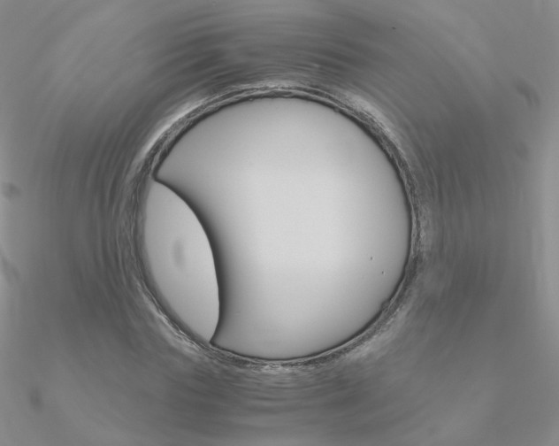 X0000090960827200708021120