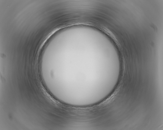 X0000090960828200708021120