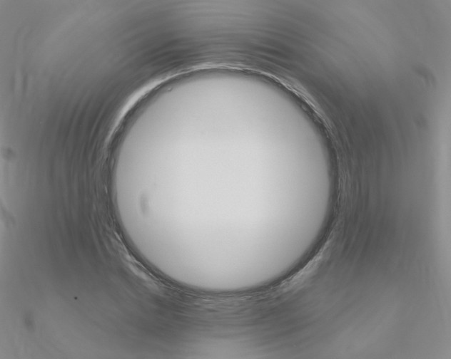 X0000090960830200708021120