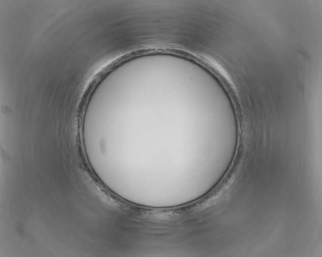 X0000090960831200708021120
