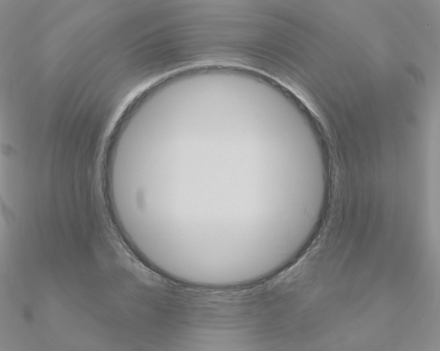 X0000090960832200708021120