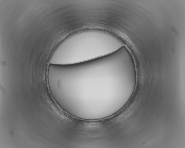 X0000090960833200708021120