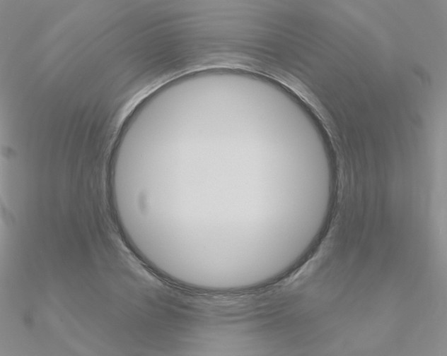 X0000090960834200708021120