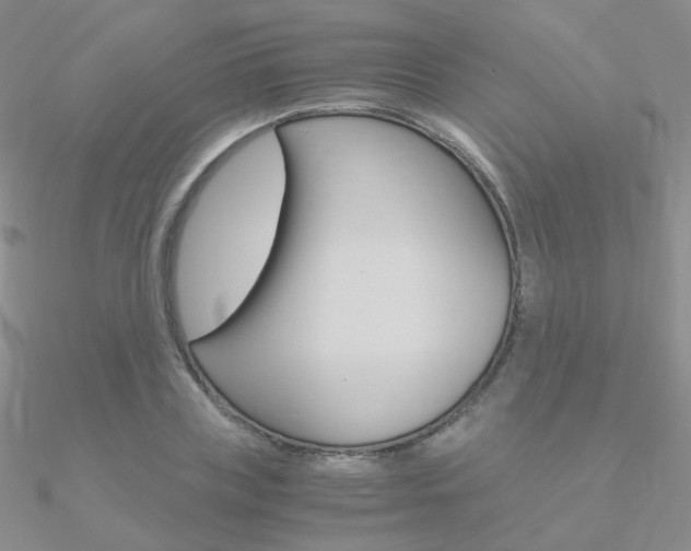 X0000090960835200708021120