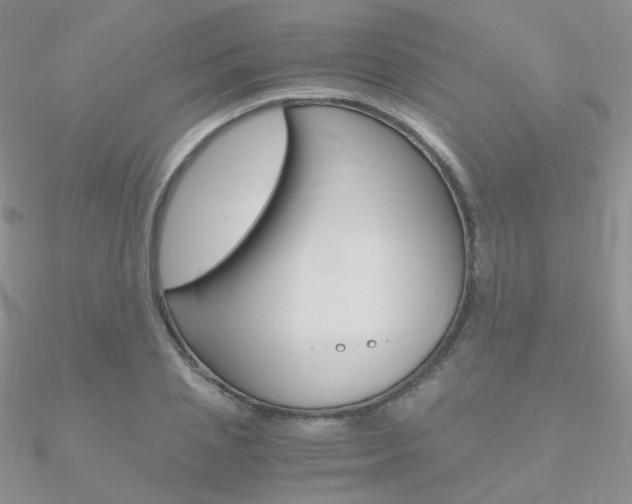 X0000090960837200708021120