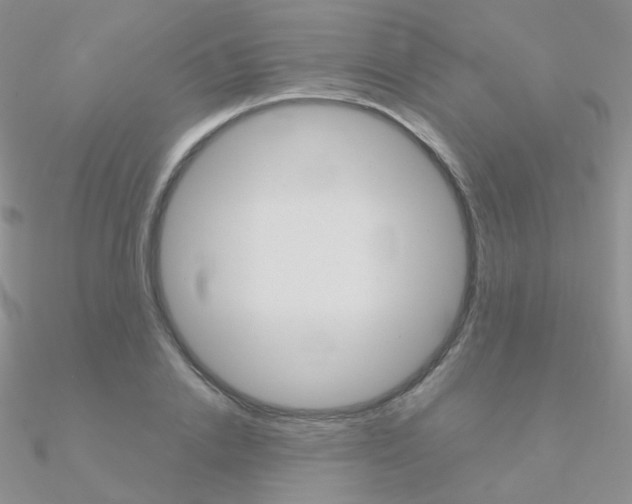 X0000090960838200708021120