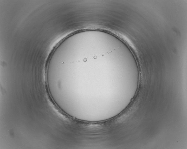 X0000090960839200708021120