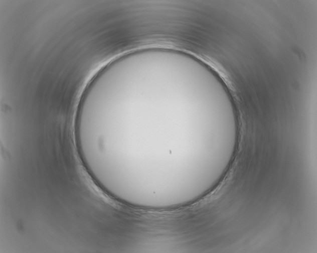 X0000090960840200708021120