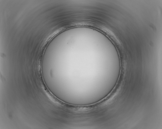 X0000090960841200708021120