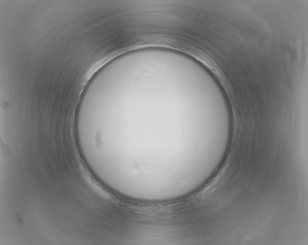 X0000090960842200708021120