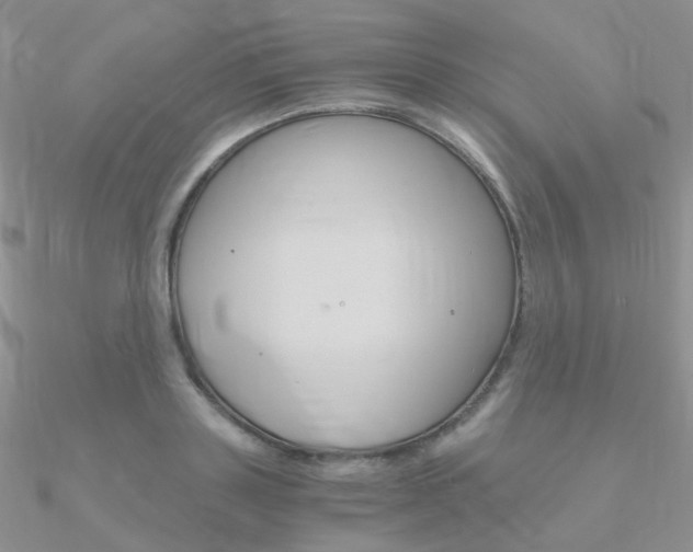X0000090960843200708021120