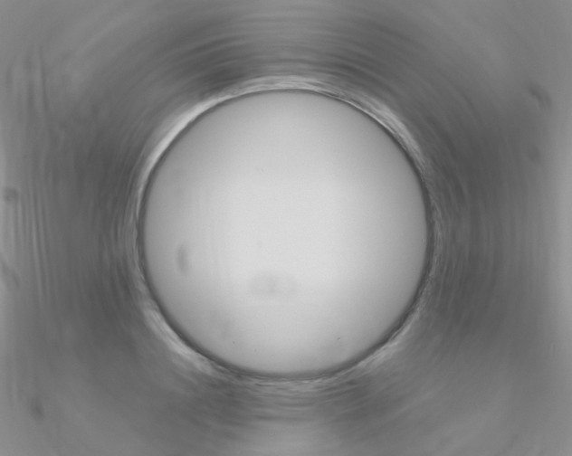 X0000090960844200708021120