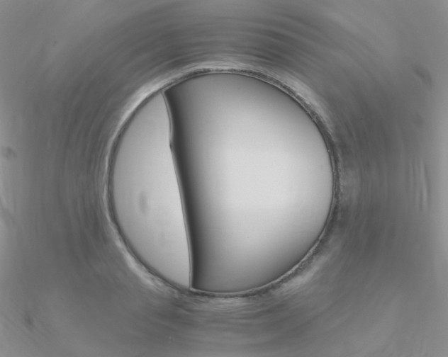 X0000090960845200708021120