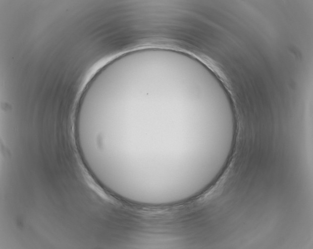 X0000090960846200708021120