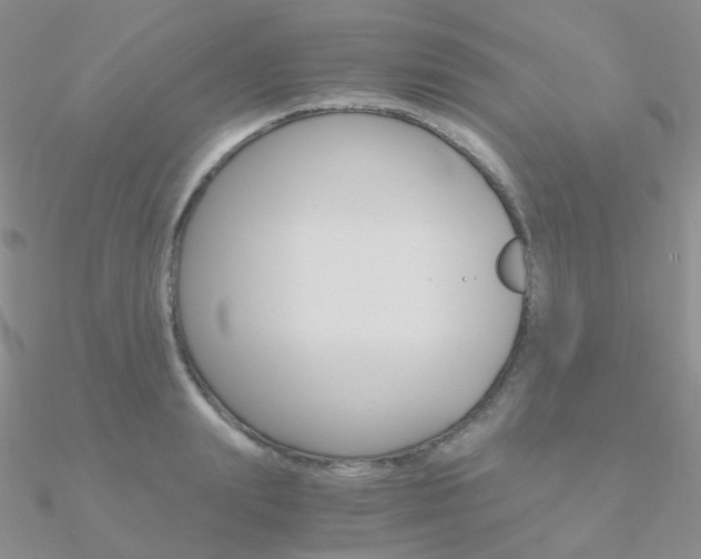 X0000090960847200708021120