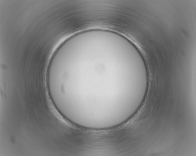 X0000090960848200708021120