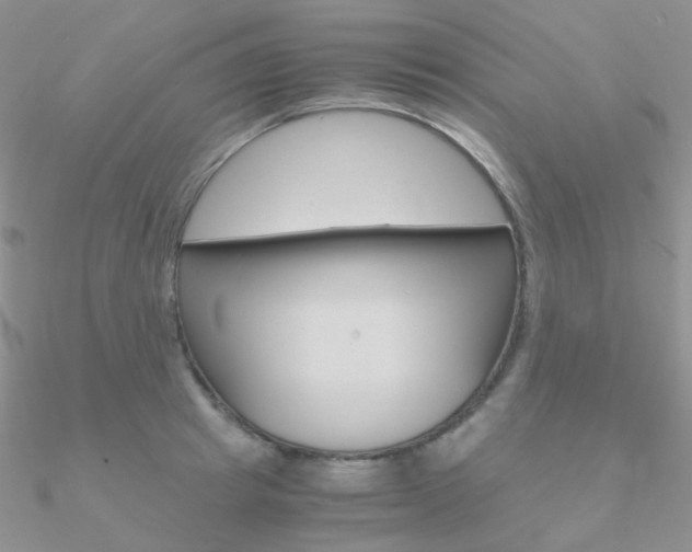 X0000090960849200708021120