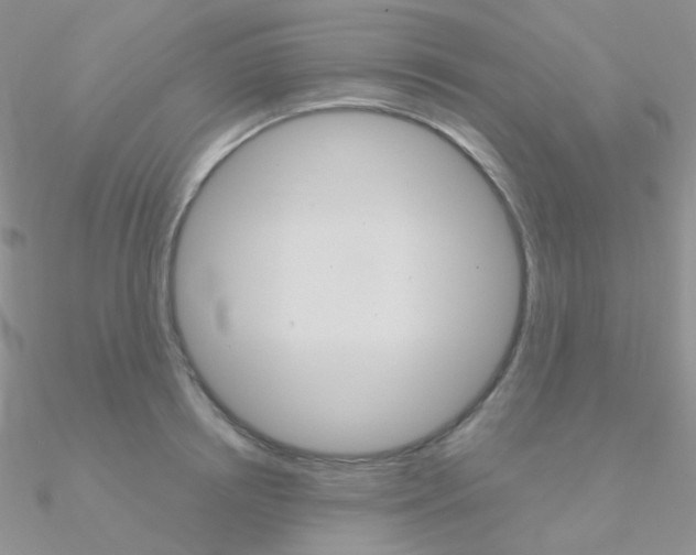 X0000090960850200708021120
