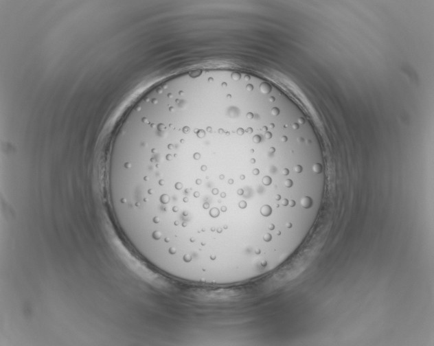 X0000090960851200708021120