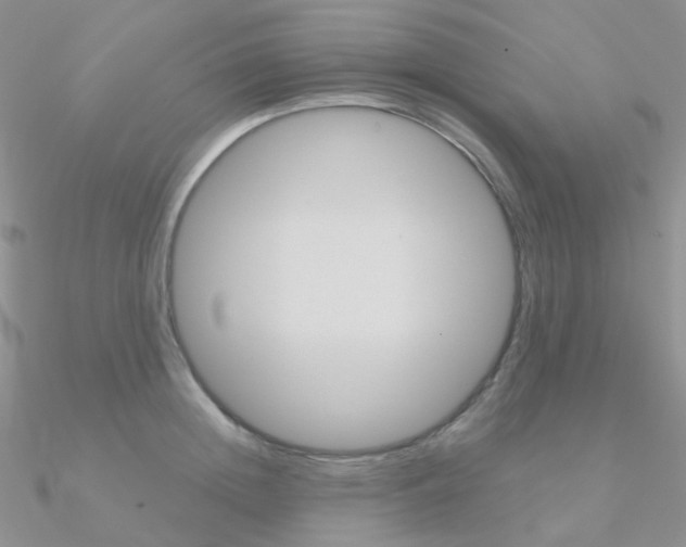 X0000090960852200708021120