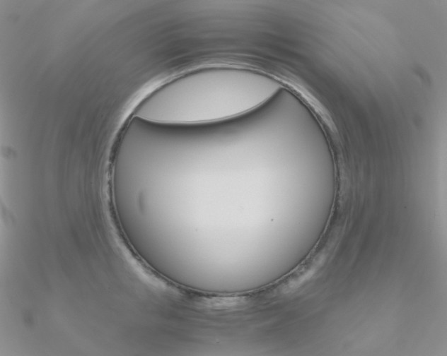 X0000090960853200708021120