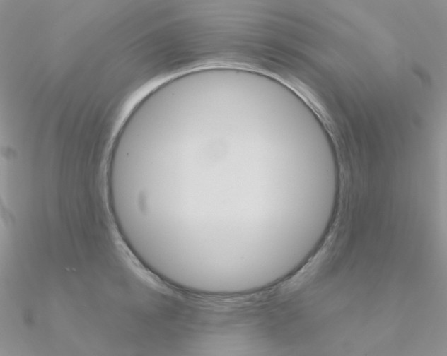 X0000090960854200708021120
