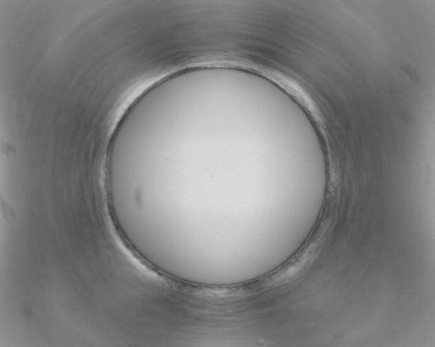 X0000090960855200708021120