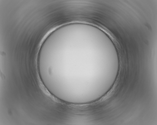 X0000090960856200708021120