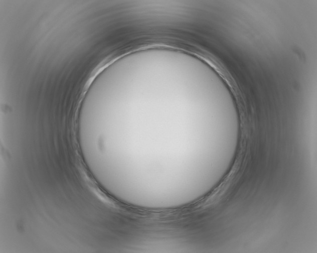 X0000090960858200708021120