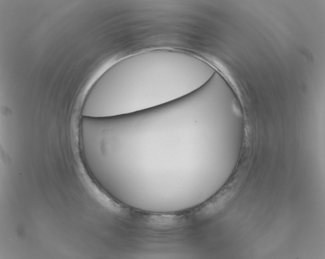 X0000090960859200708021120